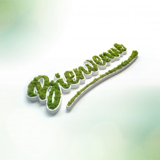 Logo végétal